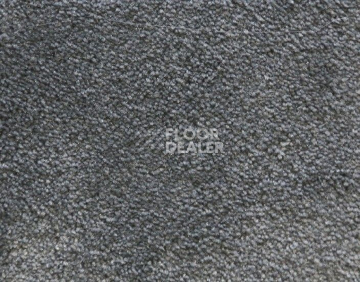 Ковролин Radici Lord Ardesia 330C фото 1 | FLOORDEALER